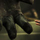 Illustration for article titled Rumor: BioShock, The MMO